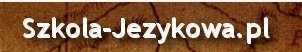 Szybki kurs norweskiego przez Skype, tłumaczenia norweski