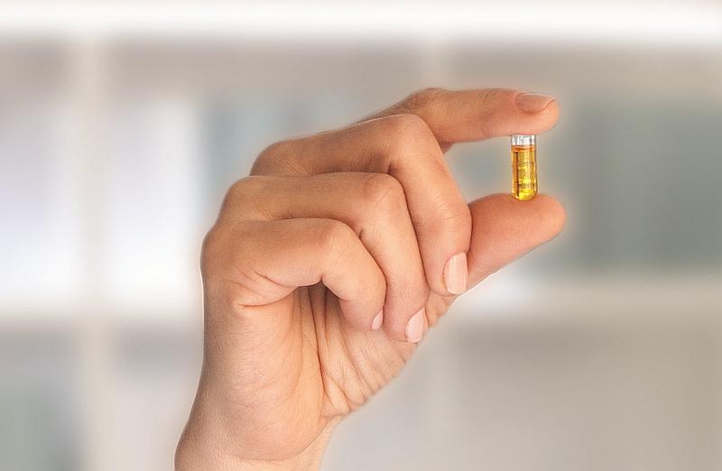 D-72dpi-fot.dvitum.pl_ Osteoporoza najczęstszą chorobą współczesnego społeczeństwa!