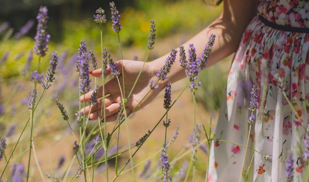Lawendowy-Dzien-czyli-Miedzynarodowy-Dzien-Epilepsji-26-marca Lawendowy Dzień, czyli Międzynarodowy Dzień Epilepsji – 26 marca